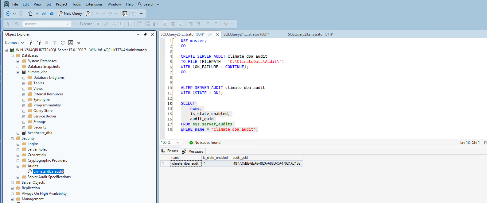 Server audit created and enabled