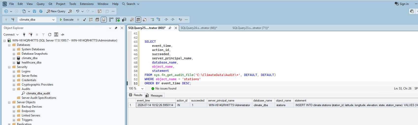 Audit log capturing real INSERT statement