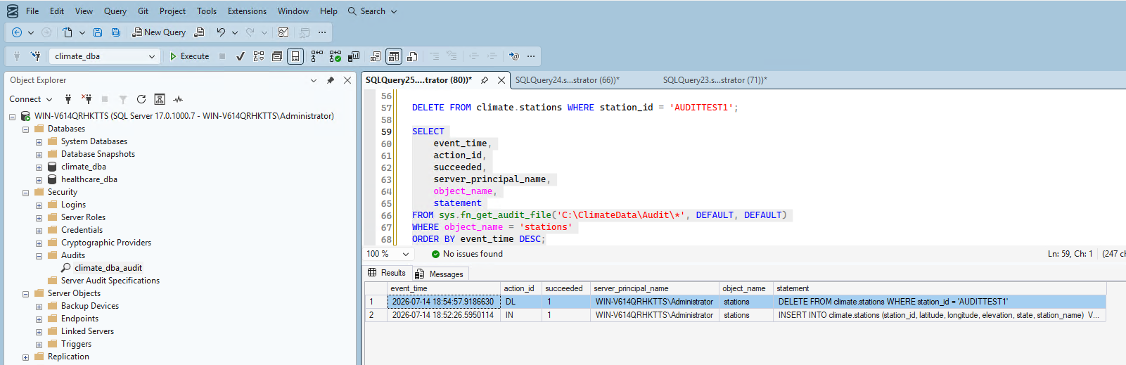 Audit log capturing real DELETE statement